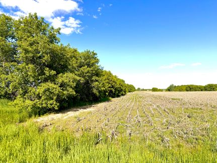 Property in Mille Lacs County, Minnesota