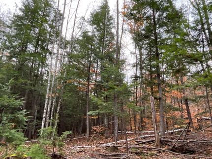 Property in Oxford County, Maine