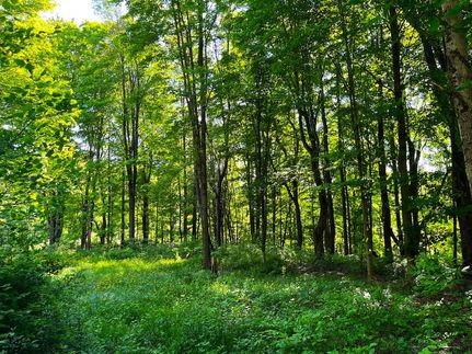 Property in Chautauqua County, New York