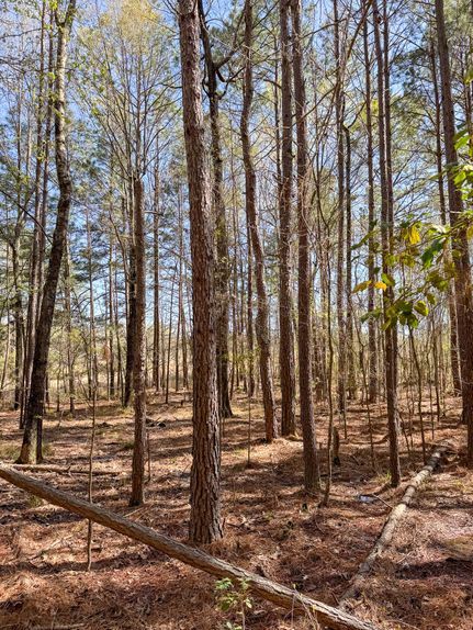 Property in Columbia County, Arkansas