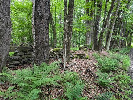 Property in Broome County, New York