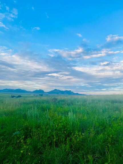 Property for sale in Santa Cruz County, Arizona