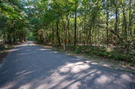 Undeveloped Land for sale in Tyler County, Texas