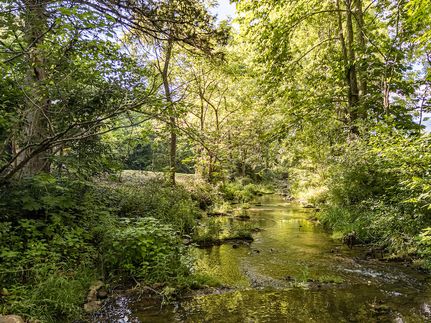 Property in Rockbridge County, Virginia