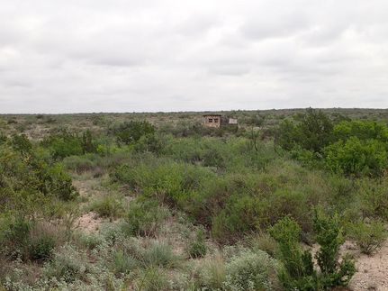 Property for sale in Terrell County, Texas