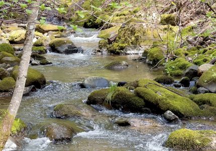 Property in Placer County, California