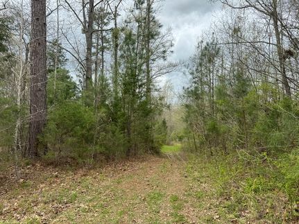 Property in Claiborne County, Mississippi