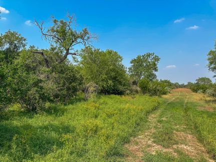 Property for sale in Atascosa County, Texas