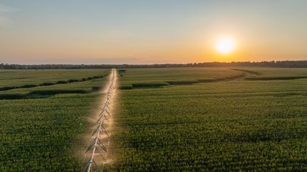 Property in Seminole County, Georgia