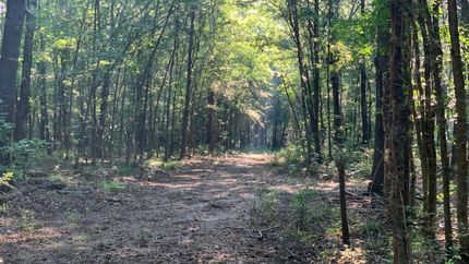 Property for sale in Red River County, Texas