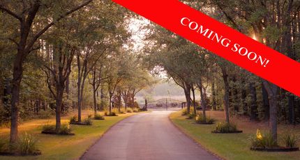 Property in Williamsburg County, South Carolina