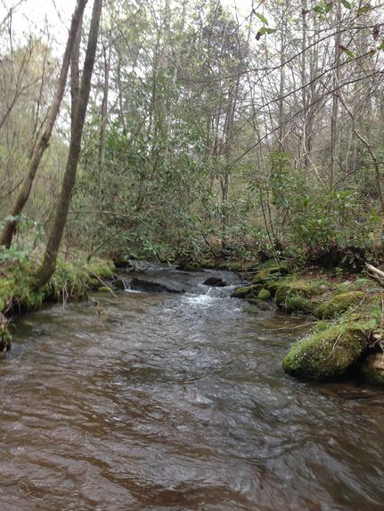 Property for sale in Cherokee County, North Carolina