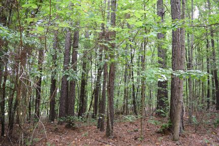 Property in Greene County, Georgia