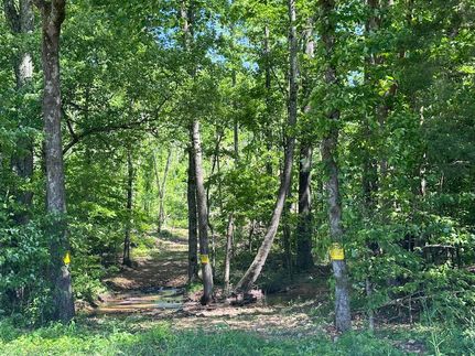 Property in Wayne County, Tennessee