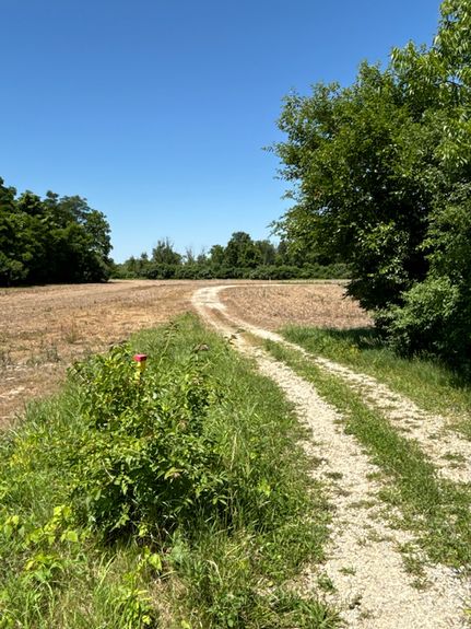 Property in Montgomery County, Ohio