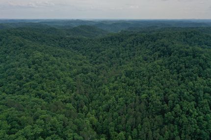 Property in Magoffin County, Kentucky