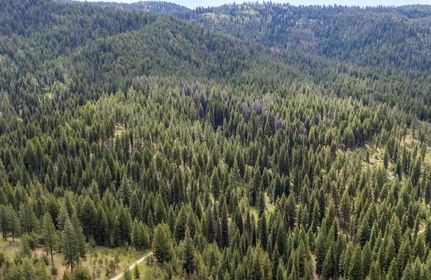 Property for sale in Valley County, Idaho