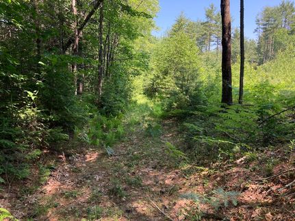 Property in Somerset County, Maine