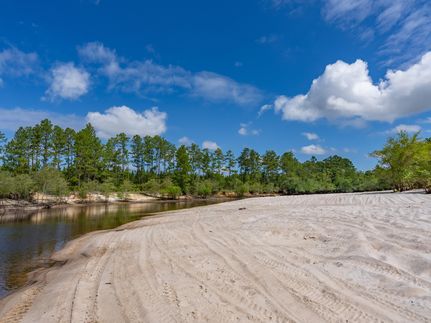 Property in Lanier County, Georgia