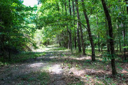 Property in Walker County, Alabama