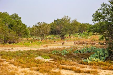 Property for sale in Crockett County, Texas