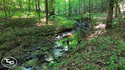 Property in Jefferson County, Alabama