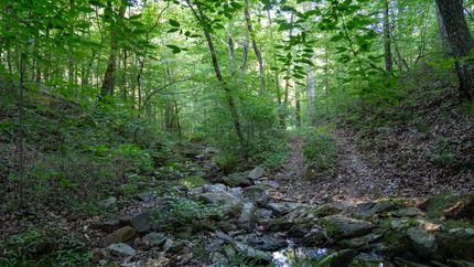 Property in Talladega County, Alabama