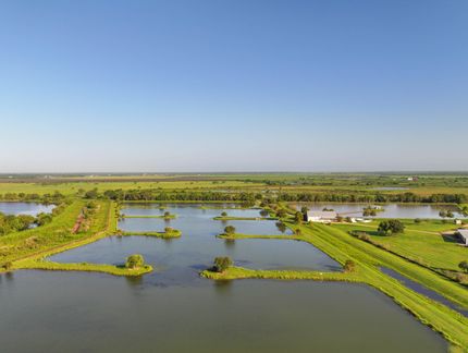 Property in Brazoria County, Texas