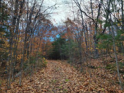 Property in Strafford County, New Hampshire