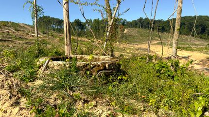 Property in Crawford County, Missouri