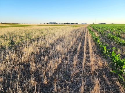 Property in Kit Carson County, Colorado