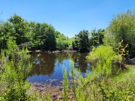 Property in Comanche County, Texas