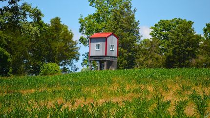 Property in Jefferson County, Indiana