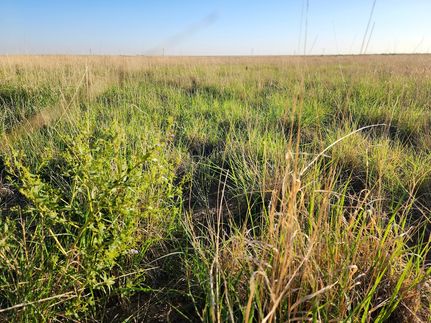 Property in Kiowa County, Colorado