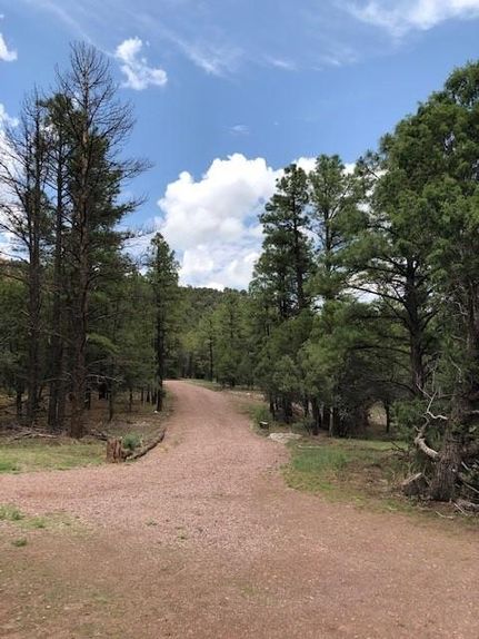 Property in Apache County, Arizona