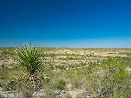 Property in Terrell County, Texas