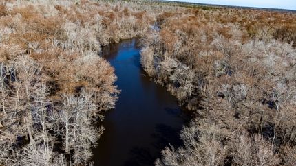 Property in Calhoun County, Florida