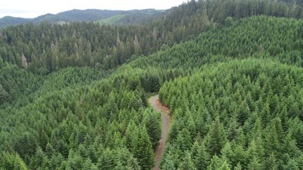 Property in Douglas County, Oregon