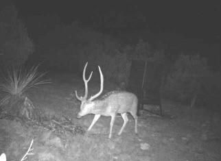 Recreational Property for sale in Edwards County, Texas