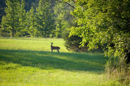 Property in Marshall County, Mississippi