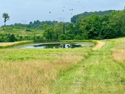 Property in Fayette County, Pennsylvania