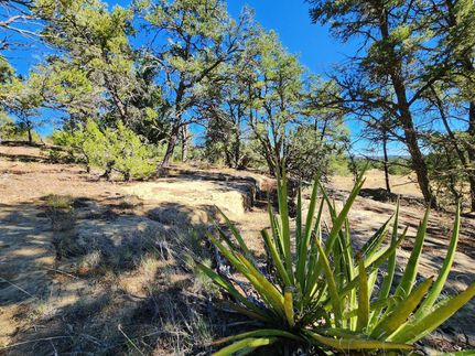 Undeveloped Land for sale in Cibola County, New Mexico