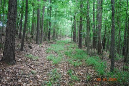 Property for sale in Bullock County, Alabama