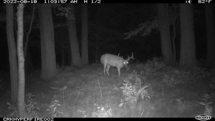 Property in Isabella County, Michigan