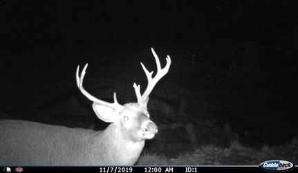 Property in Centre County, Pennsylvania