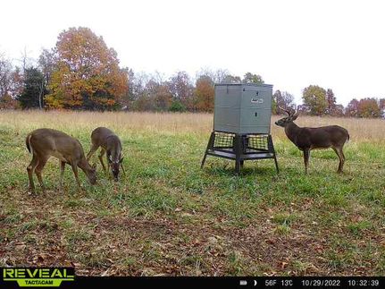 Property in Boone County, Arkansas