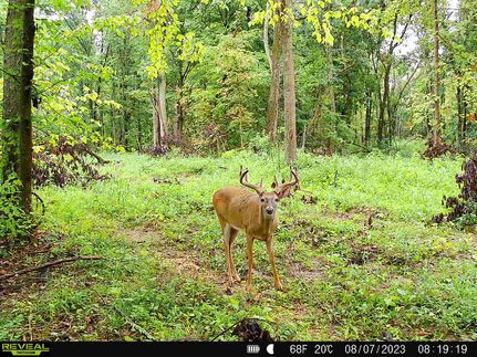Property in Vermillion County, Indiana