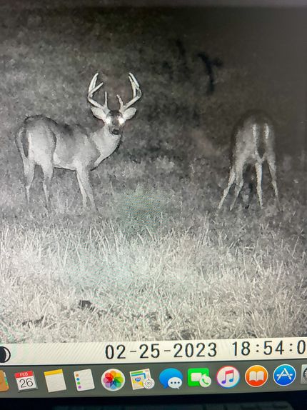 Property in Davie County, North Carolina