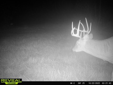 Property in Fond du Lac County, Wisconsin