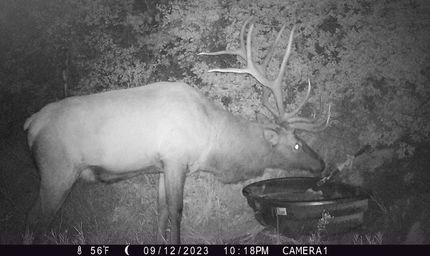 Property in Mesa County, Colorado